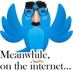 A blue twitter bird wearing a Groucho Marx mask, text says MEANWHILE ON THE INTERNET...