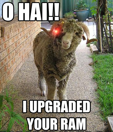 lolram.jpg