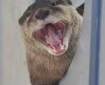 otter leaning out of a little hole with its mouth wide open, captioned: AND STAY OUT!