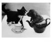 A black and white kitten on a white tablecloth next to a teacup and saucer is touching noses with a wrinkly puppy who is, for some reason, sitting inside a teapot