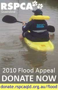 A fundraising poster for the Queensland RSPCA