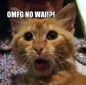 a small cat with wide-open eyes and mouth, caption OMFG NO WAI!?!