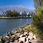 A river view looking towards a park on the far bank