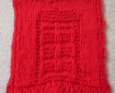 A red dishcloth with a TARDIS pattern on it.