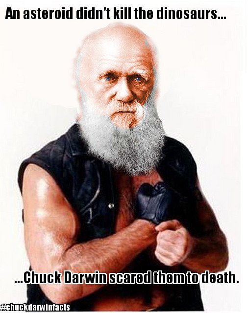 a photoshop of Charles Darwin's head on Chuck Norris' body