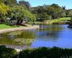 Photograph of Victoria Park pond on a sunny day