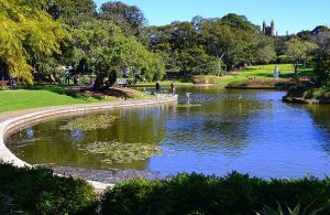 Photograph of Victoria Park pond on a sunny day