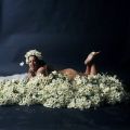 A paleskinned fat woman with dark hair lies front-down and naked upon a bed of white daisy-like flowers. Her head is held high with a wide smile looiing into the camera. We can see her head, one shoulder, a bit of buttock, and her feet up in the air. One hand is just visible holding a flower next to her face, and we see another flower held between her toes so it lies just on the sole of one foot.