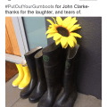 Photograph of three pairs of gumboots beside a front door, with a sunflower